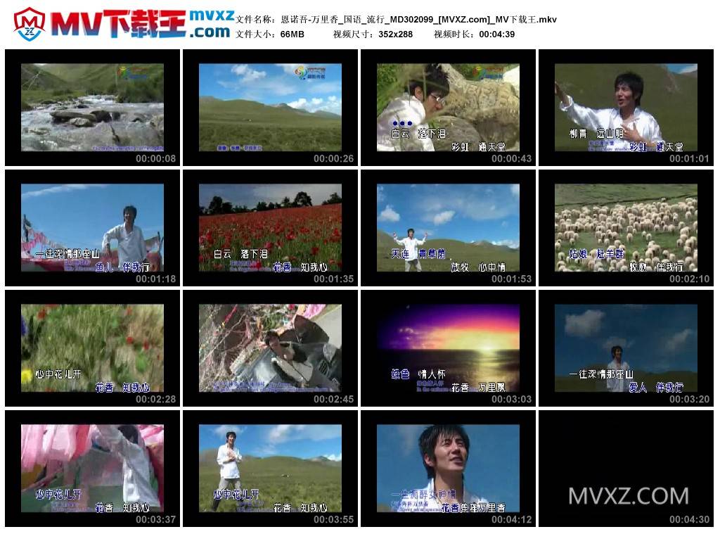恩诺吾-万里香_国语_流行_MD302099